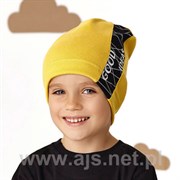 .AJS шапка 46-178 одинарный трикотаж (р. 48-50, 52-54) ч/з 46-178
