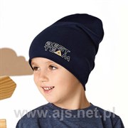 .AJS шапка 46-194 двойной трикотаж (р. 48-50, 52-54) ч/з 46-194
