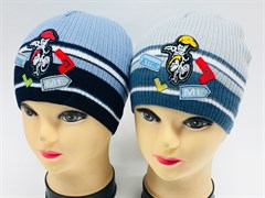 Jakob шапка одинарная вязка (xtreme)(р.48-50) 3675